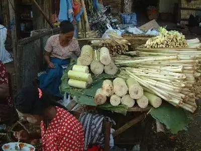 ミャンマーのバナナの軸