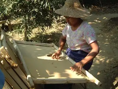 ミャンマー・ニャウンゴン村の藁紙作り